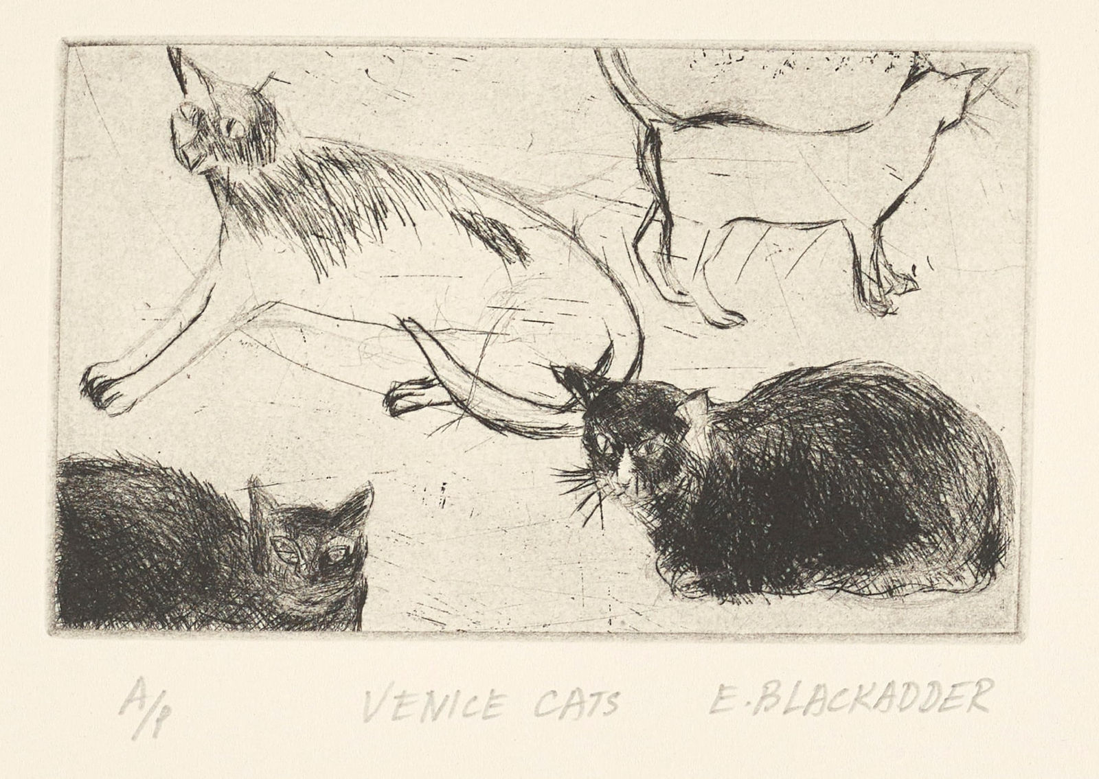 Elizabeth Blackadder RSA, Venice Cats II, 2013