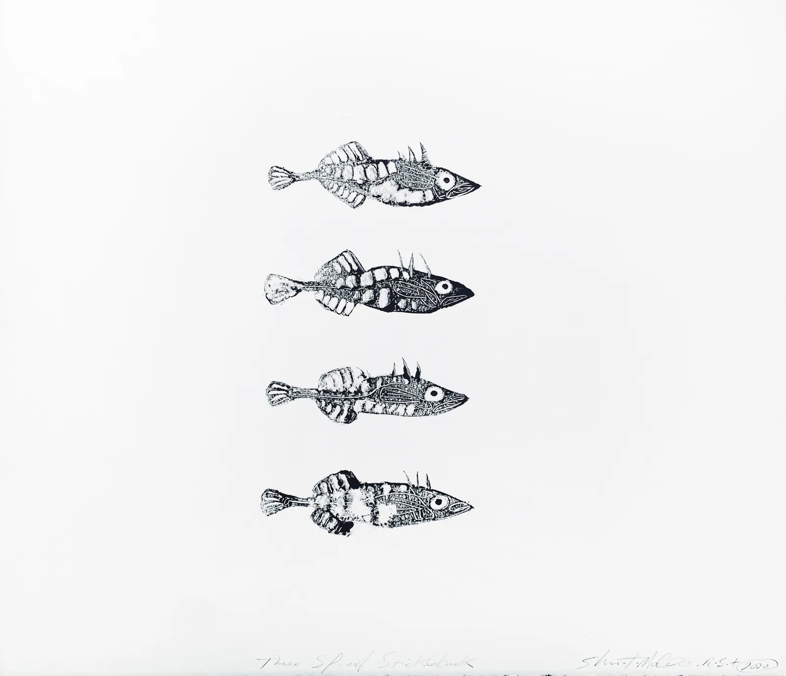 Stuart MacKenzie RSA, Species Morphology: Three-spined Sticklebacks, Study II, 2020