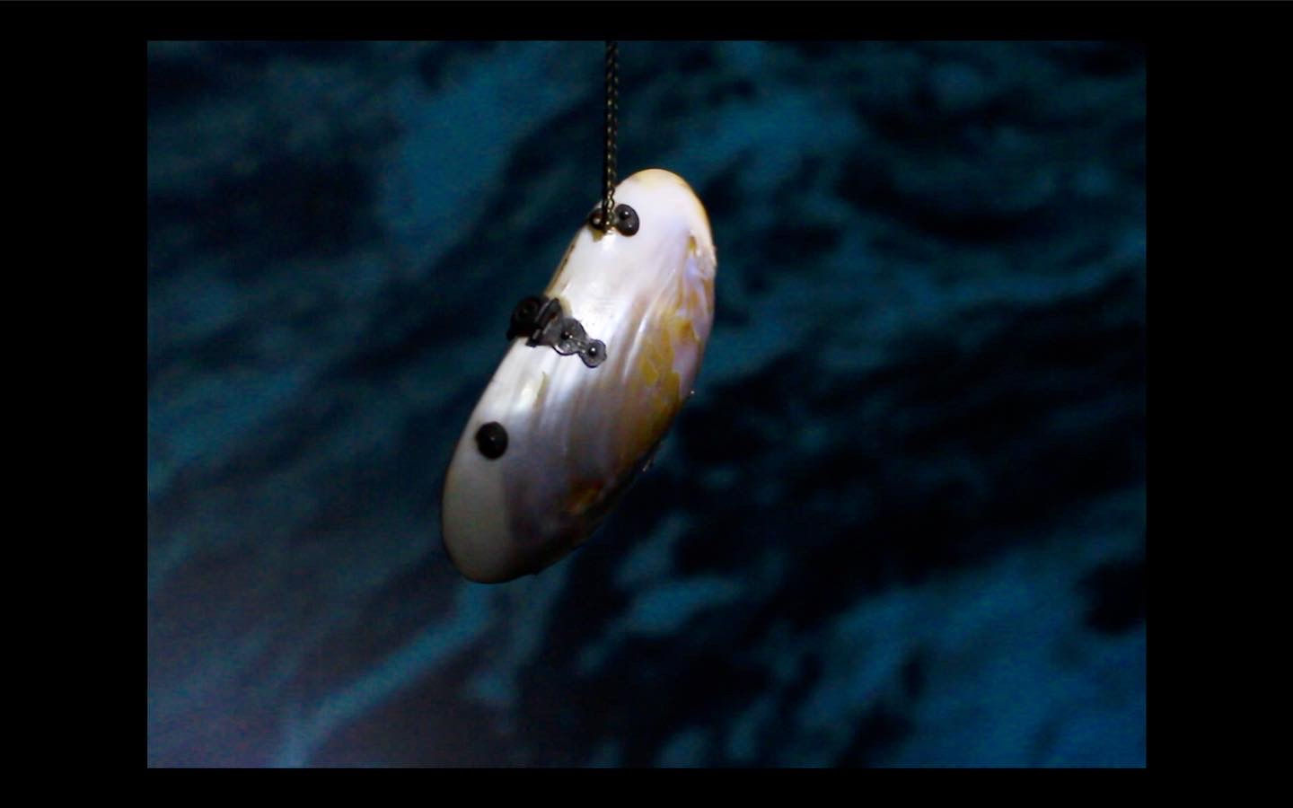 Marie-Chantal Hamrock, BOUY