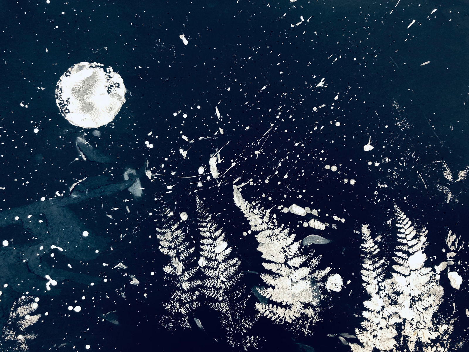 Aiden Hodgeson, East Park