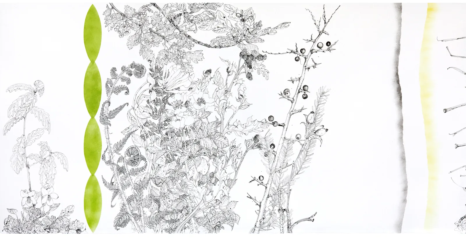 Jane Hyslop RSA, The Oak Tree: a tribute to eternity 1586 -1928, 2023