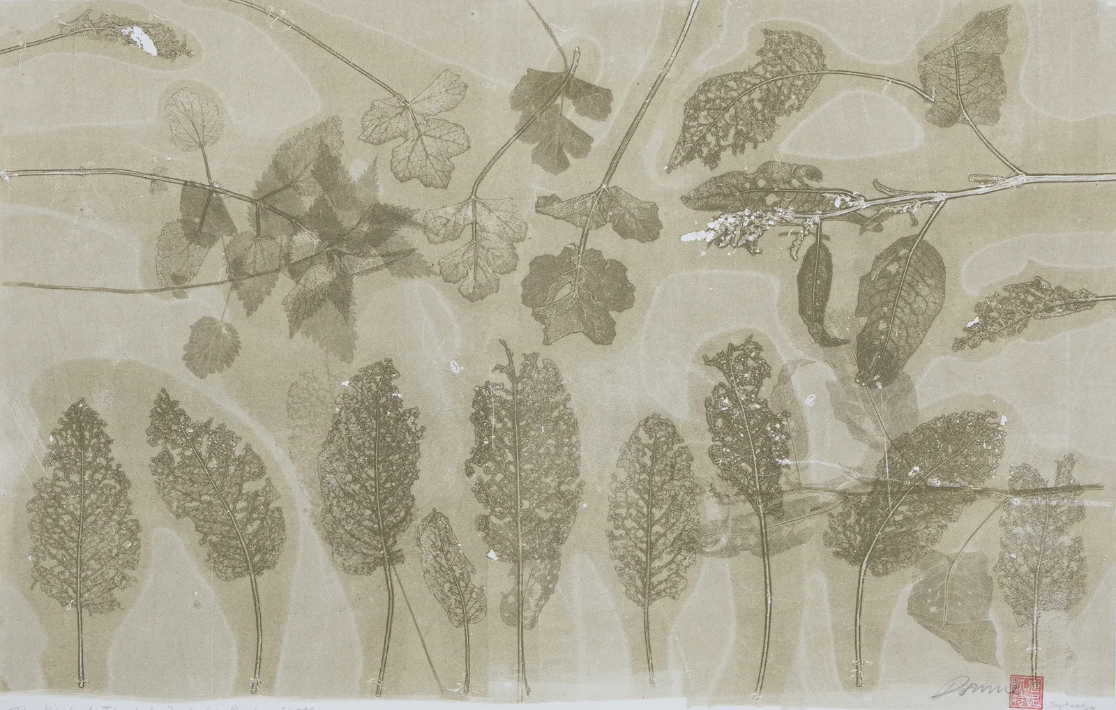 Kate Downie RSA, The Back of the Tweed: Dock, Cow Parsley and Nettle