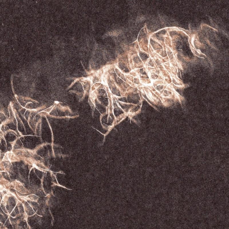 Simon Kirby, Usnea, 2024