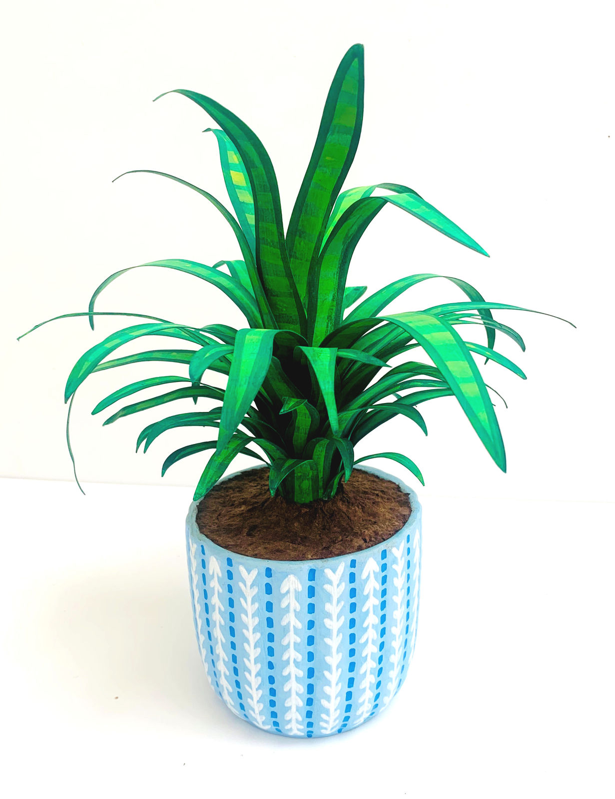 Tallulah Batley, plante decorative (3), 2025