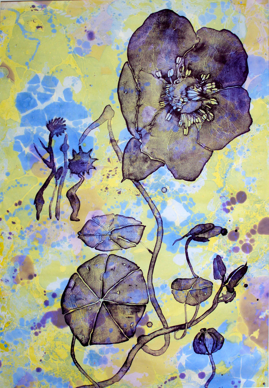 Elspeth Lamb RSA, Psychedelic Flower: Christmas Rose