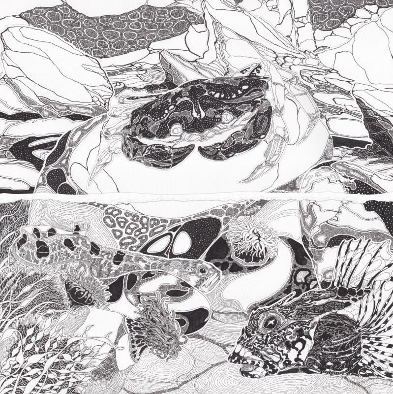 Hamish Angus McAndrew, 45 Crovie - A Site for Shore Eyes, 2025