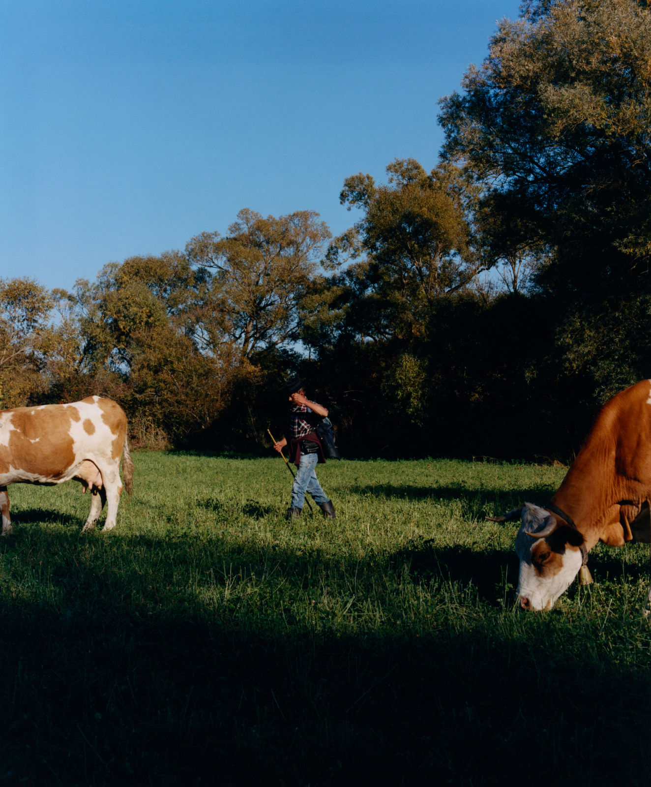 Finn Gibson, Toamnă (Autumn) #4, 2023