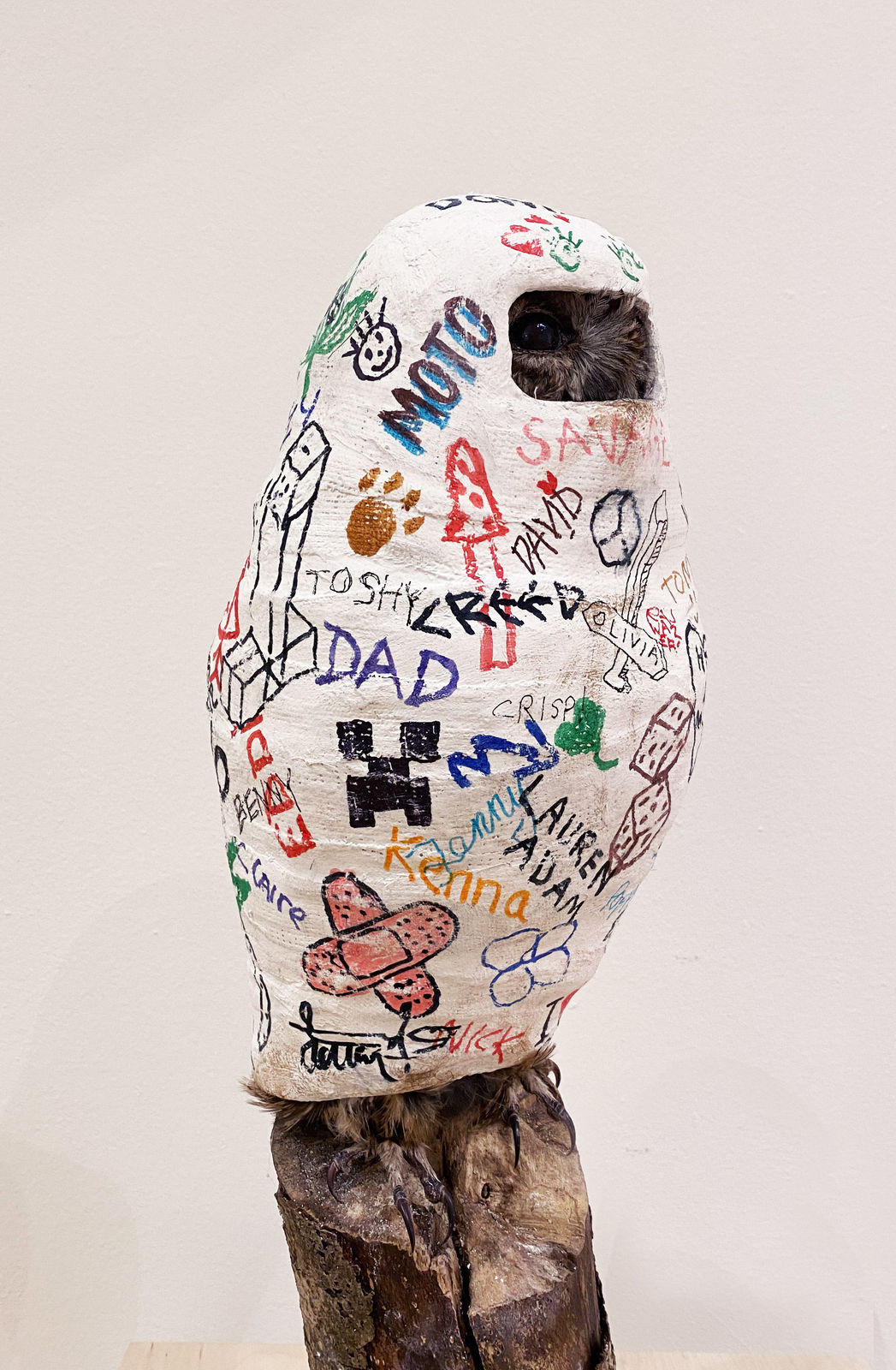 Edward Summerton RSA and Hetty Thompson, Broken Owl