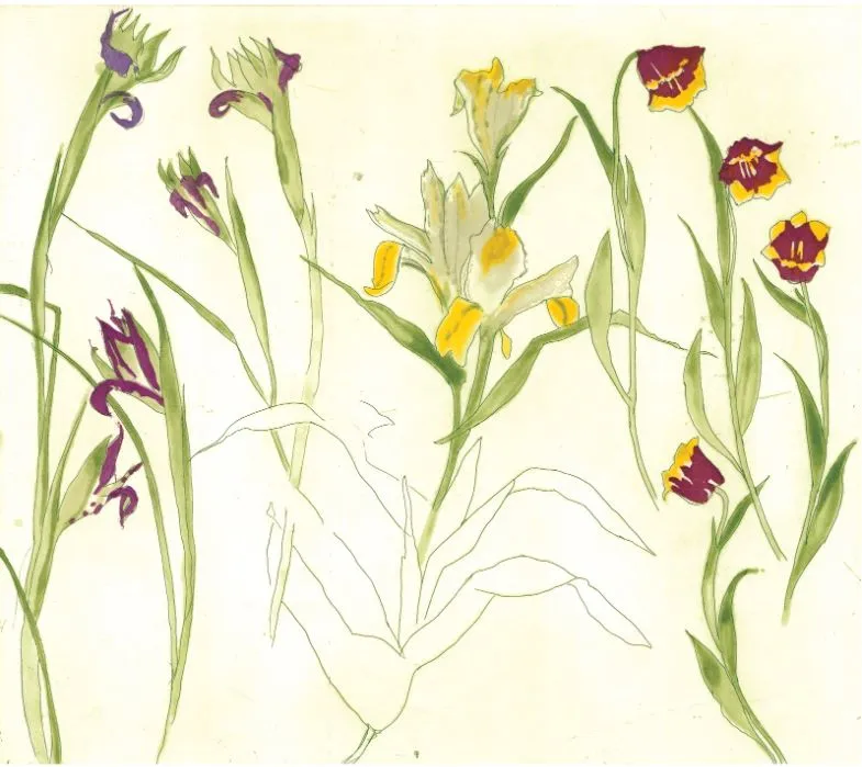 Elizabeth Blackadder RSA, Irises, Lilies, Tulips, 2013