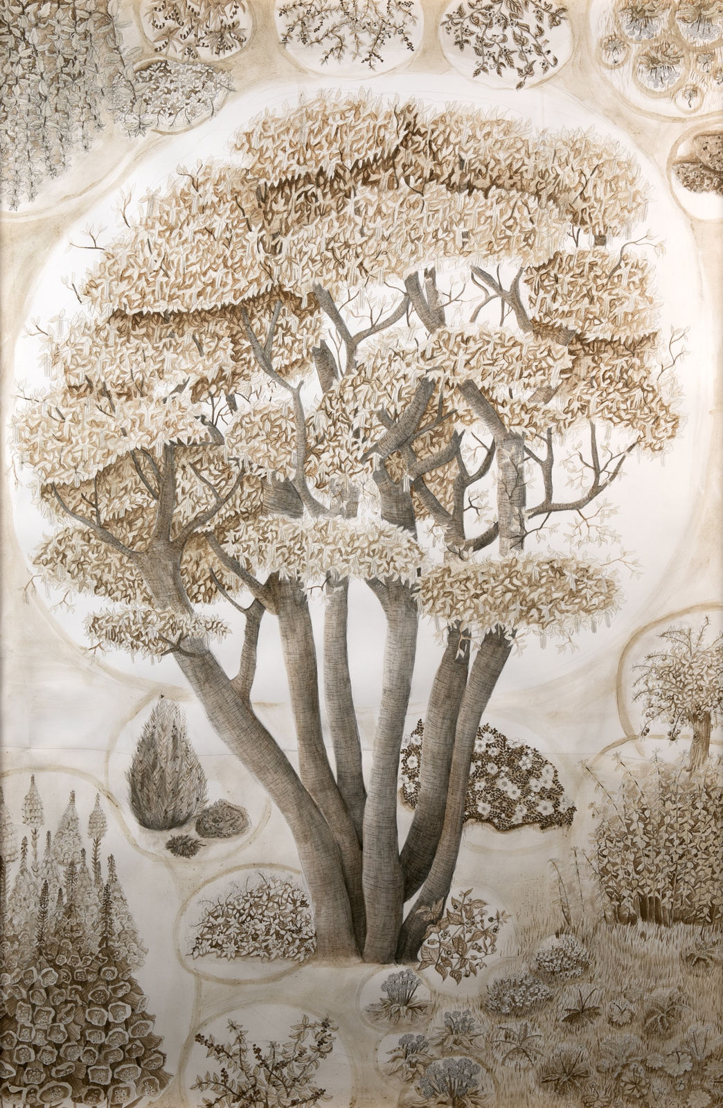 Kirsty E. MacDonald, Nàdair: Hazel, 2024