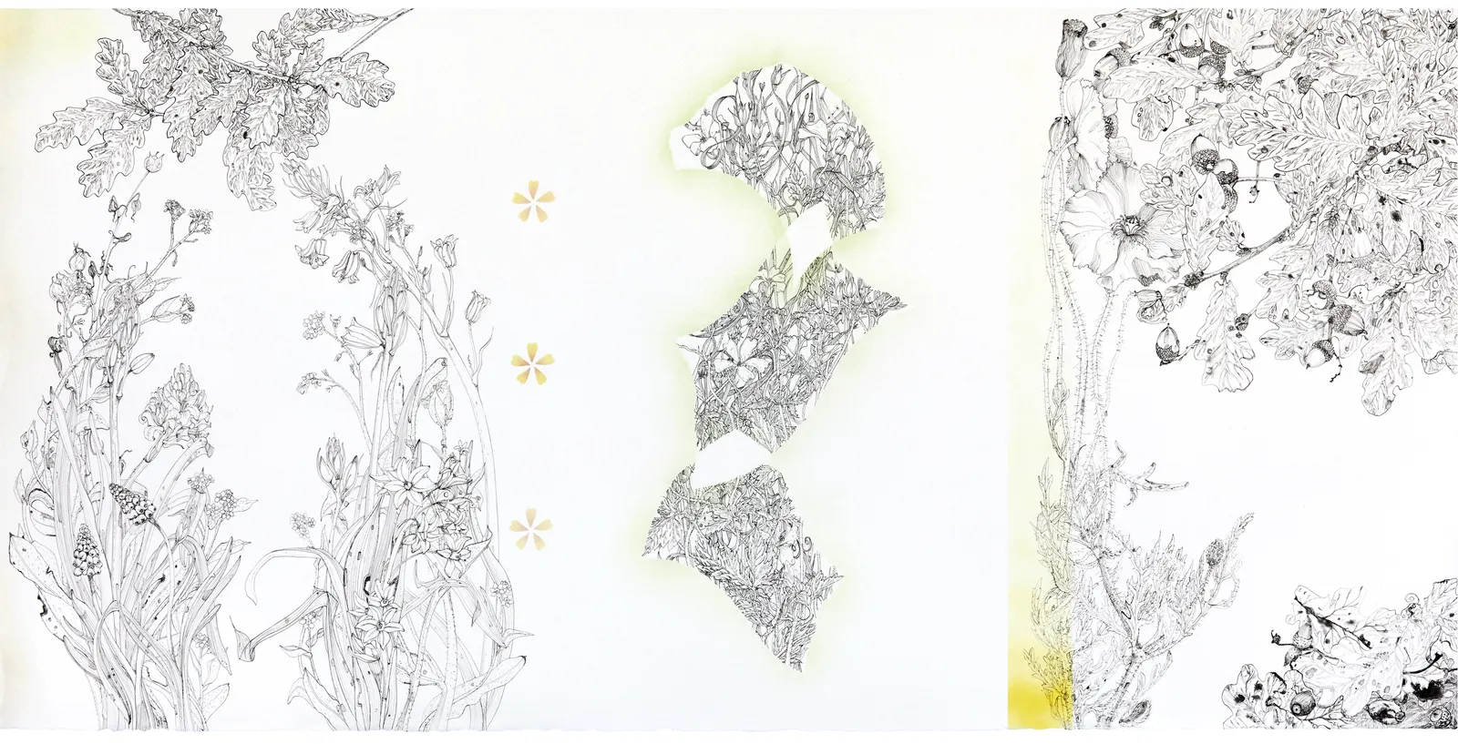 Jane Hyslop RSA, The Oak Tree: a tribute to eternity 1586 -1928, 2023