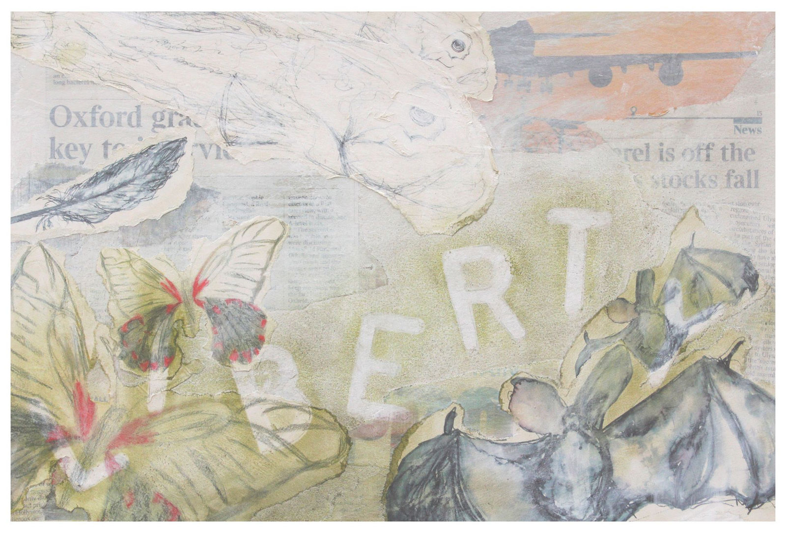 Daisy Donaldson, St Leonard's School