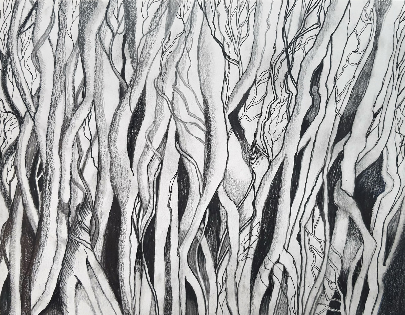 Sam Ainsley RSA, The wild wood