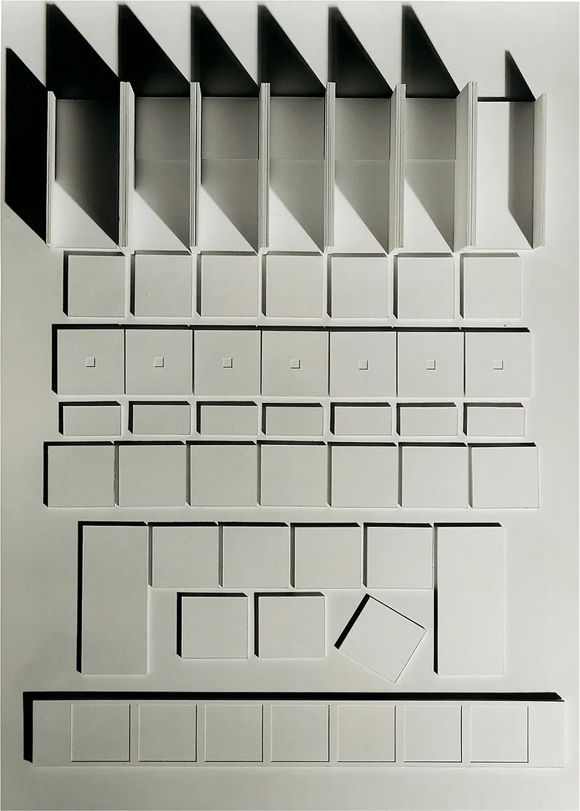 Saverio Pisaniello, Spaces of the Mind: Sickness