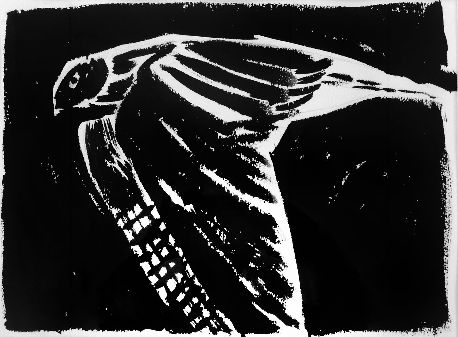 Kate Whiteford RSA, Nero After Emily Brontë’s Merlin Hawk Study for short film Wings of Desire, 2018