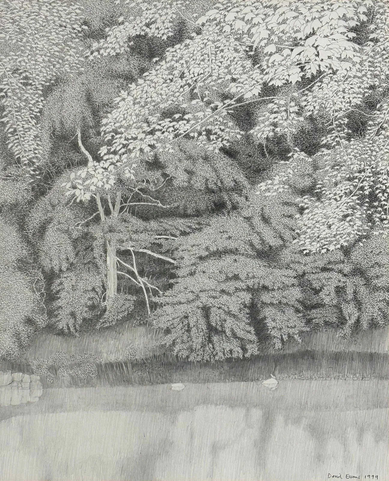 David Evans RSA, Trees and Leaves, 1999