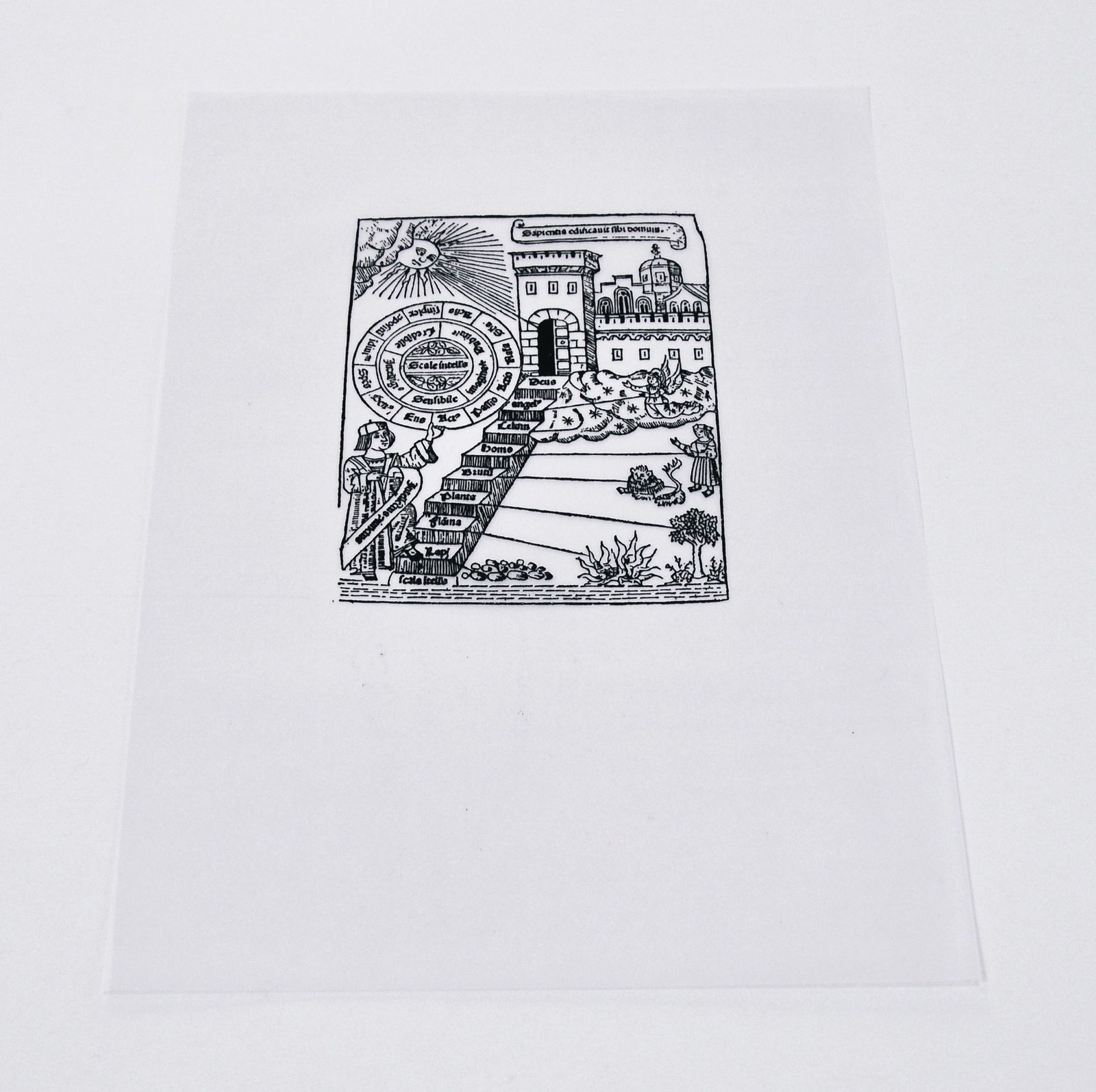 Glen Onwin RSA, Flammable Solid / Flammable Liquid, 1994