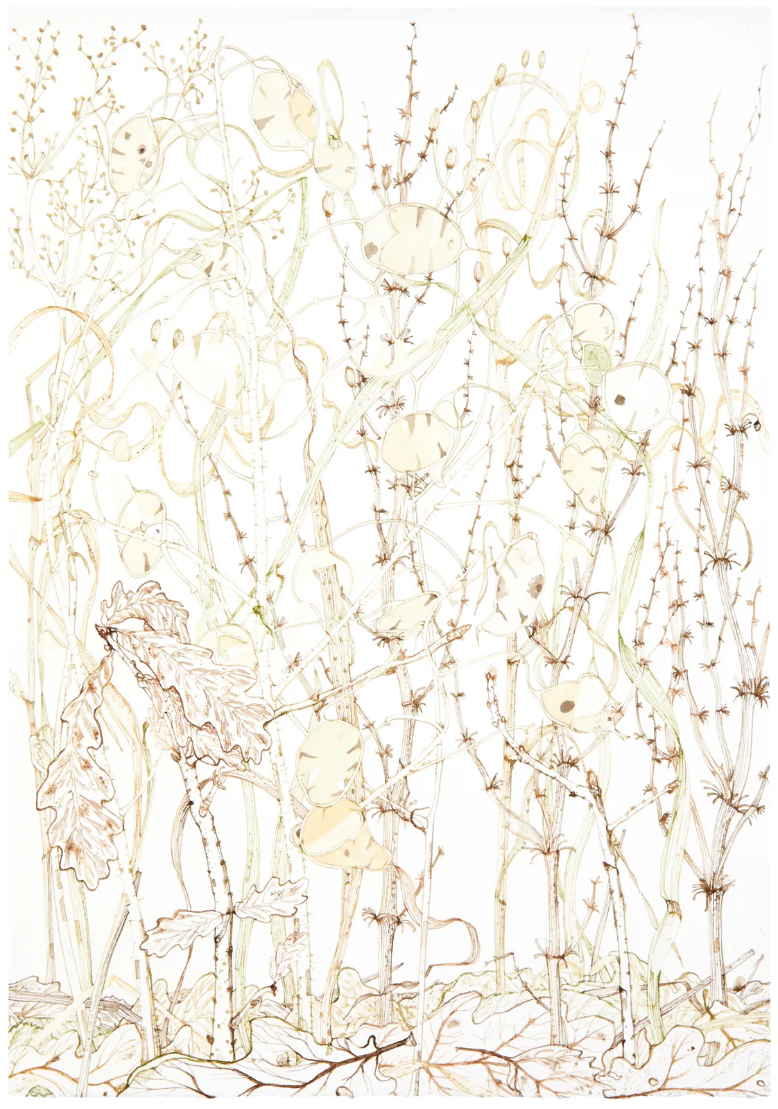 Jane Hyslop RSA, February Collection I, Midlothian, 2021