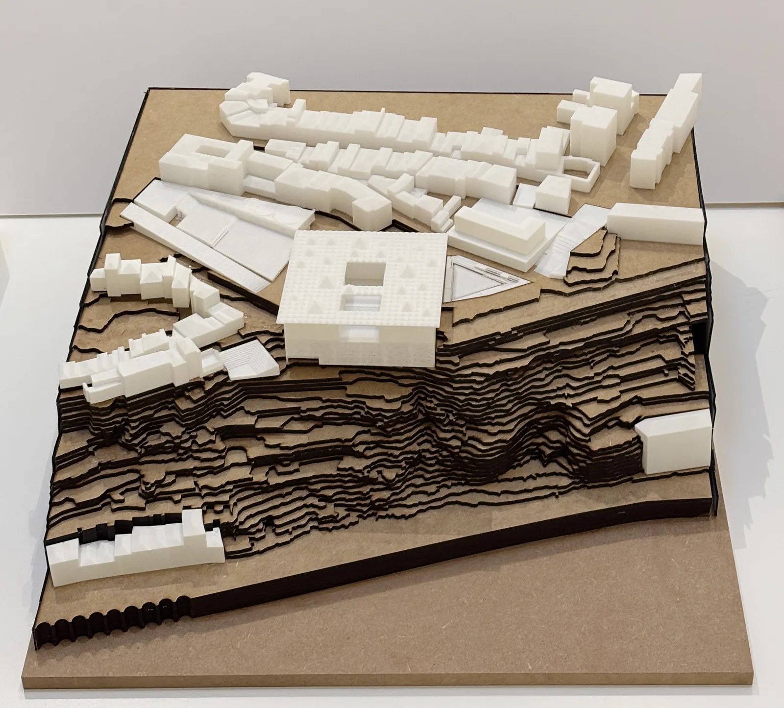 Dhanush Reddy Raja, Site Model, 2025