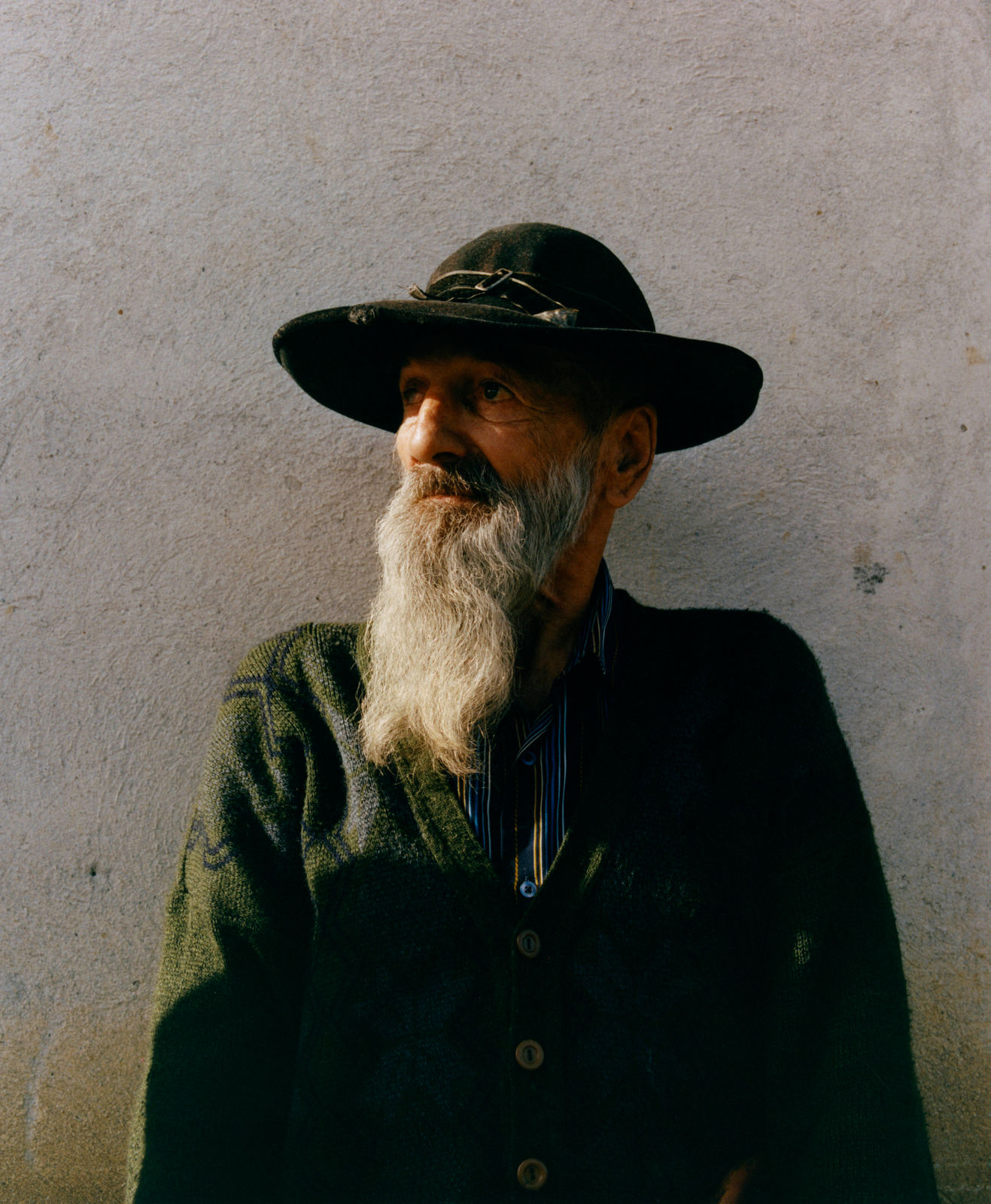 Finn Gibson, Toamnă (Autumn) #9, 2023