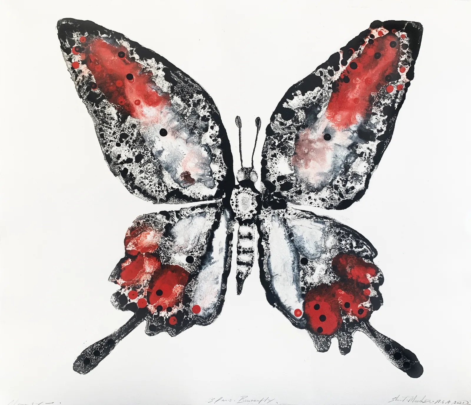 Stuart MacKenzie RSA, Species Morphology: Butterfly 1, 2021