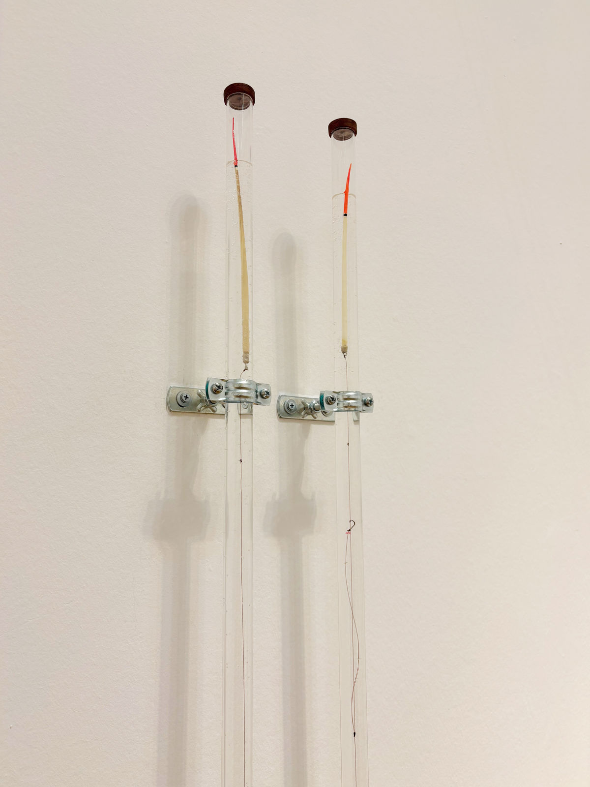 Hanna Lehtinen, Double Blood Knot, 2025