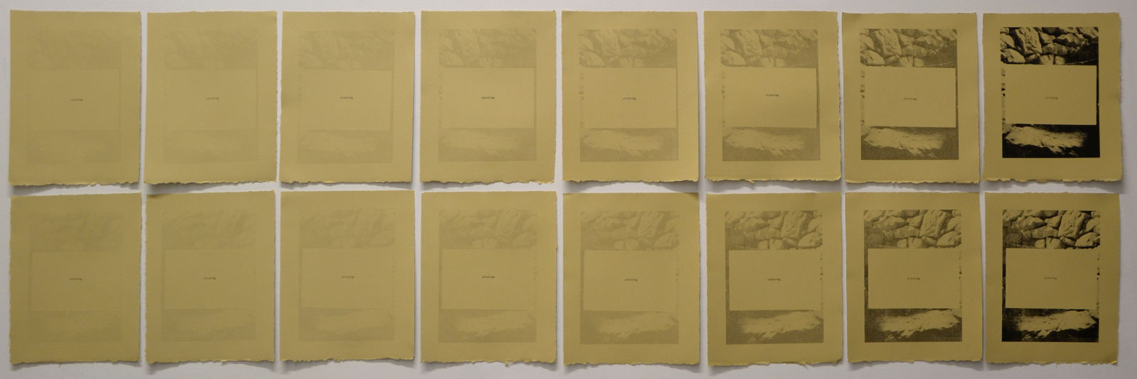 Leena Nammari, missing