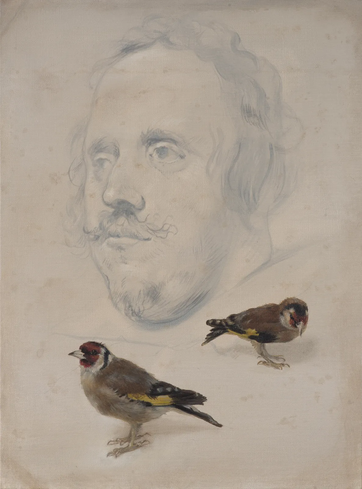 Derrick Guild RSA, Natural History No. 4, 2020