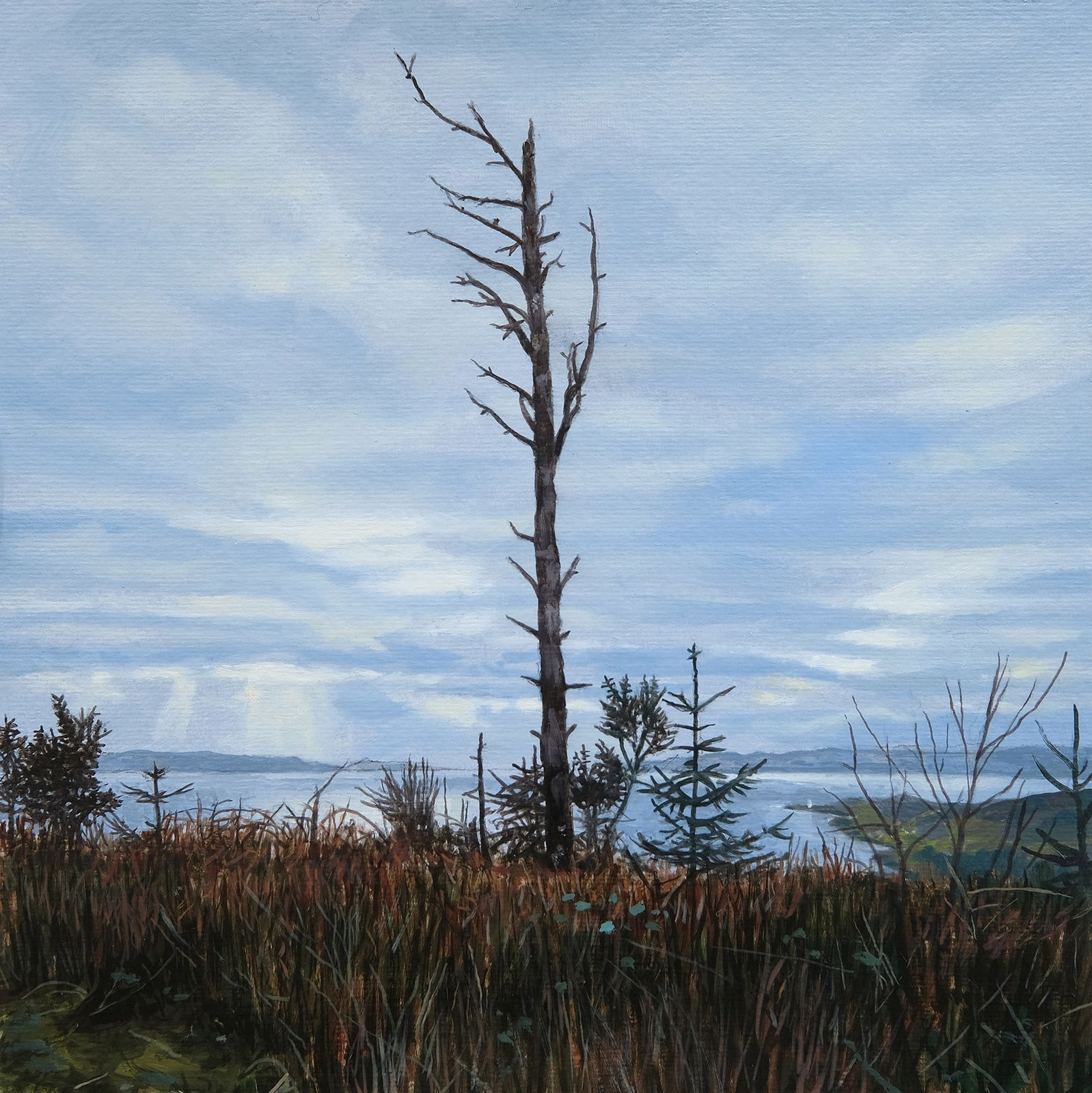 Philip Braham RSA, Sentinel, Firth of Clyde