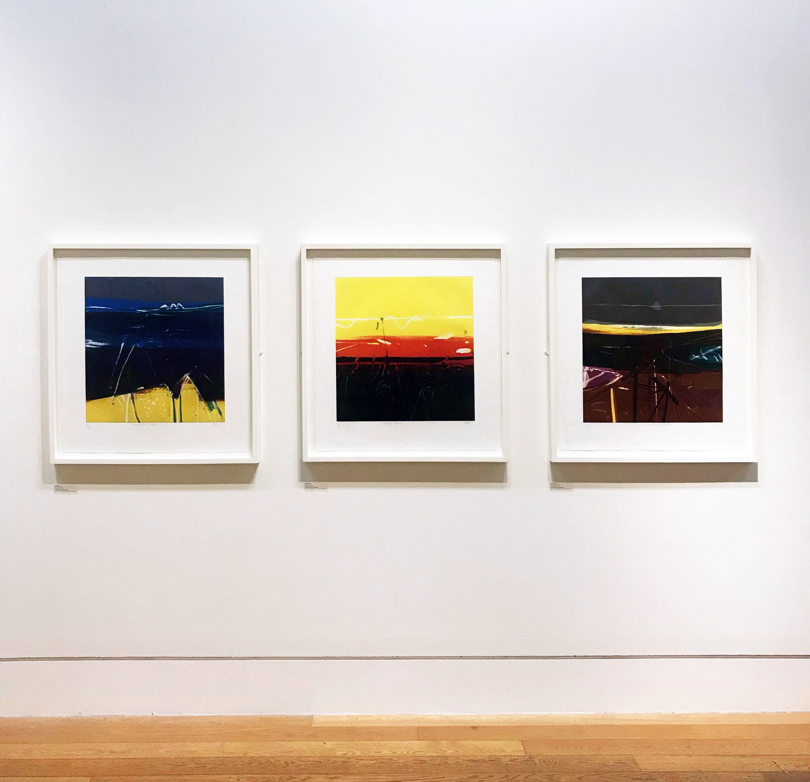 Barbara Rae RSA, Valentia Shore