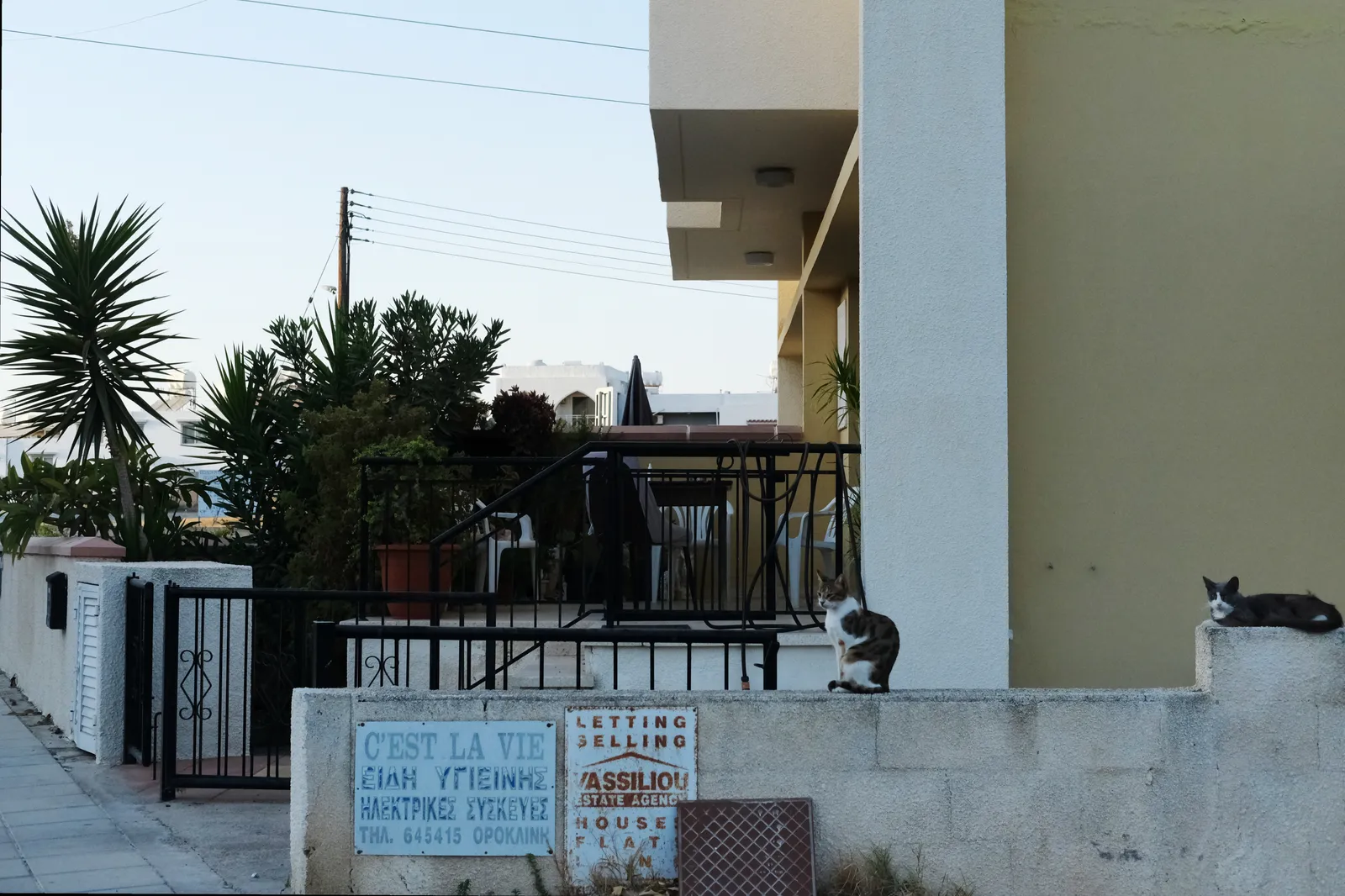 Claire Maria Carey, Visiting Host VI, 2026