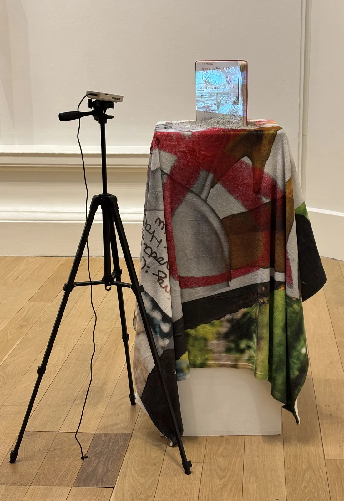 Macey Zhao, What Finds Its Way Back, 2026