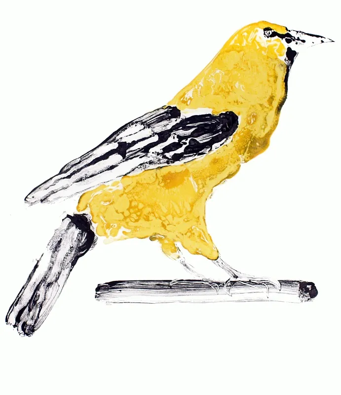 Stuart MacKenzie RSA, Golden Oriole I