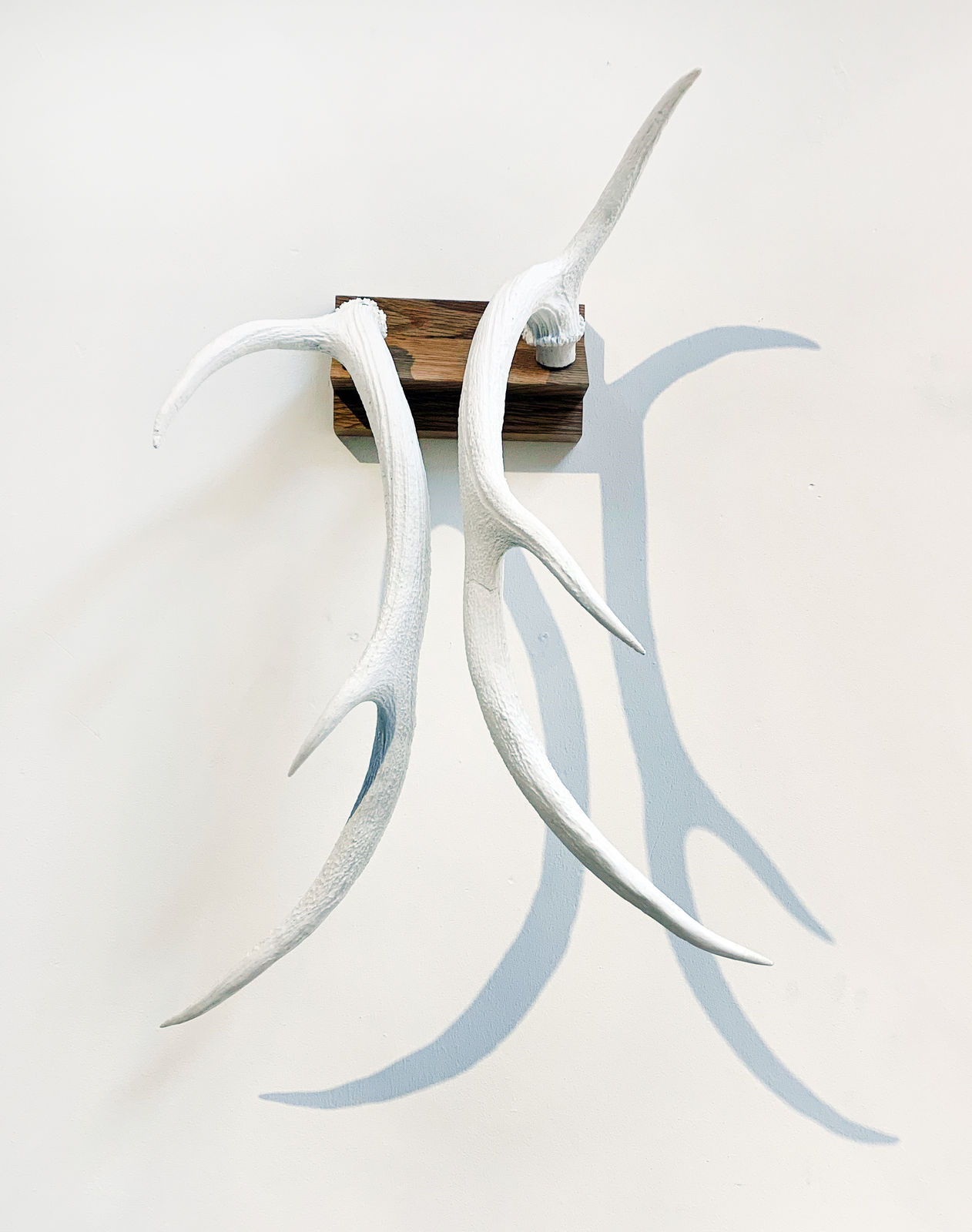 Rosie Trevill, Placeholder for a Power of Sorts II