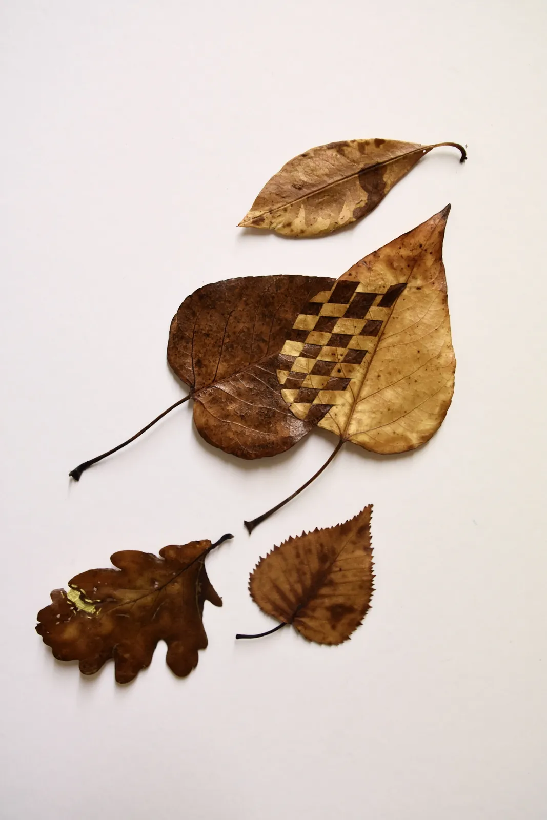 Poppy Gannon, There’s dirt in my delicacy, 2026