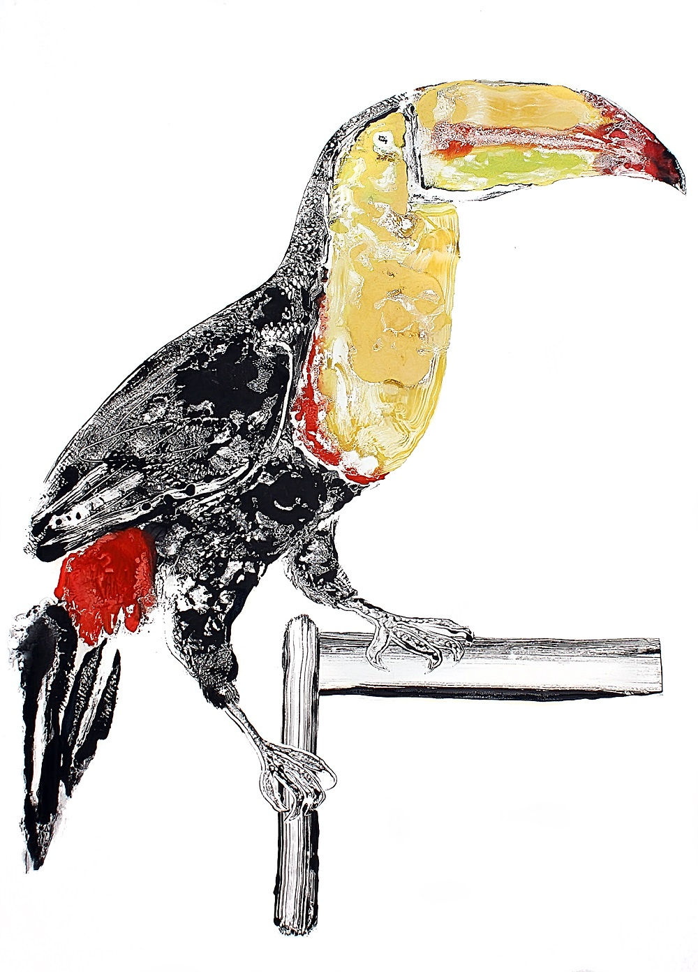 Stuart MacKenzie RSA, Toucan