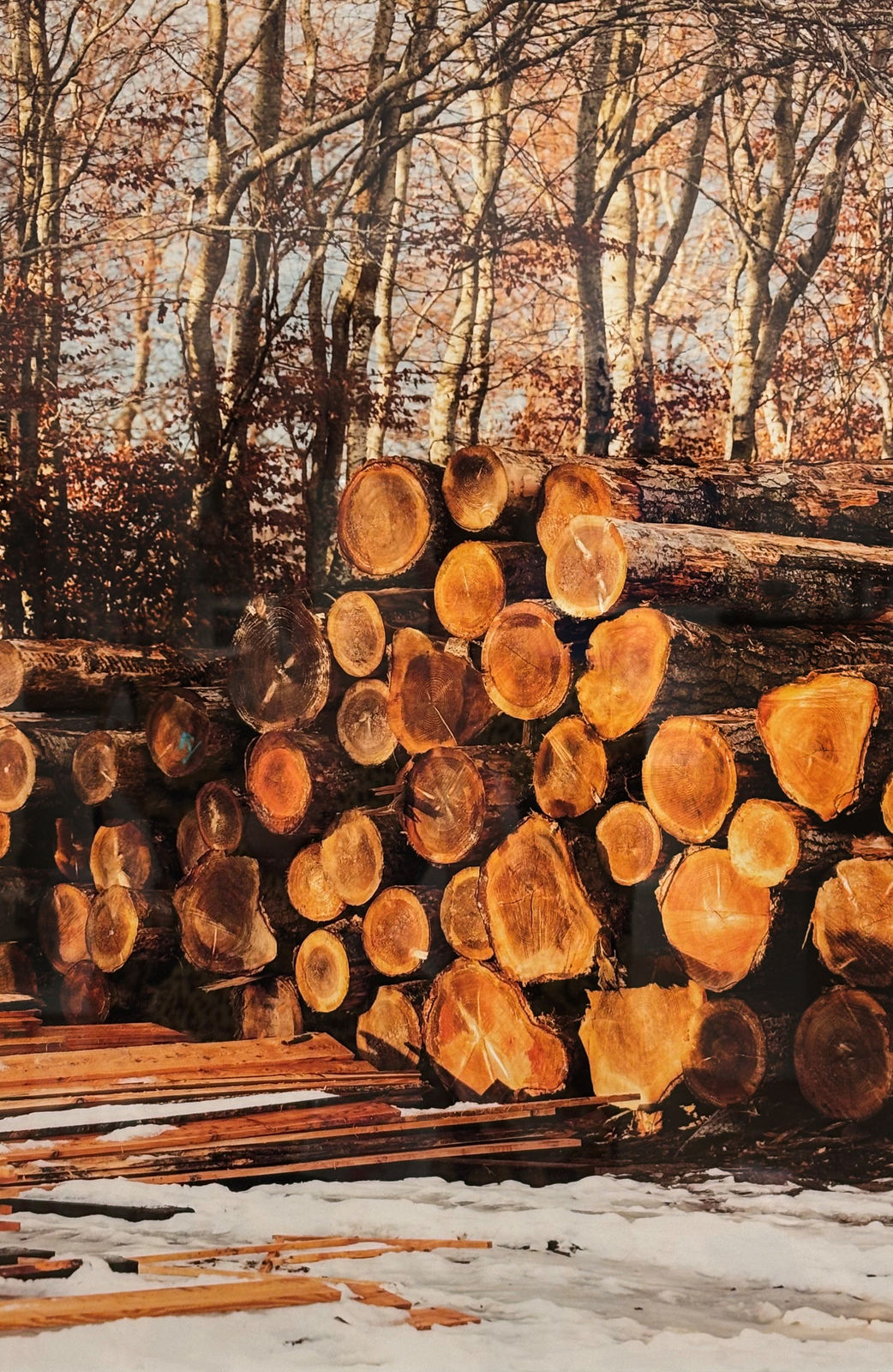 Baillie Baillie Architects, iorram - The Craft of Building (a), 2025