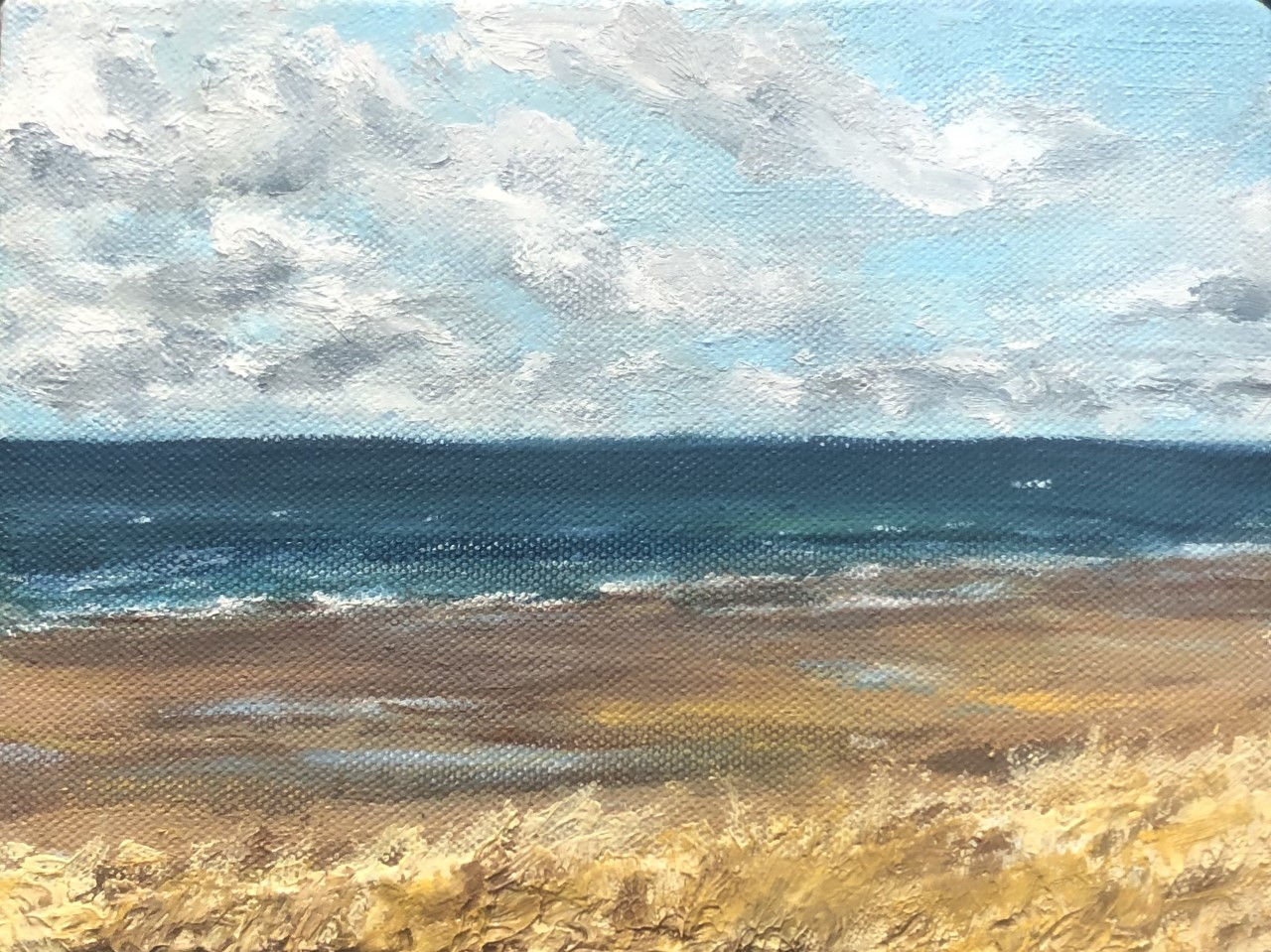 Henry Kondracki RSA, Aberlady Beach