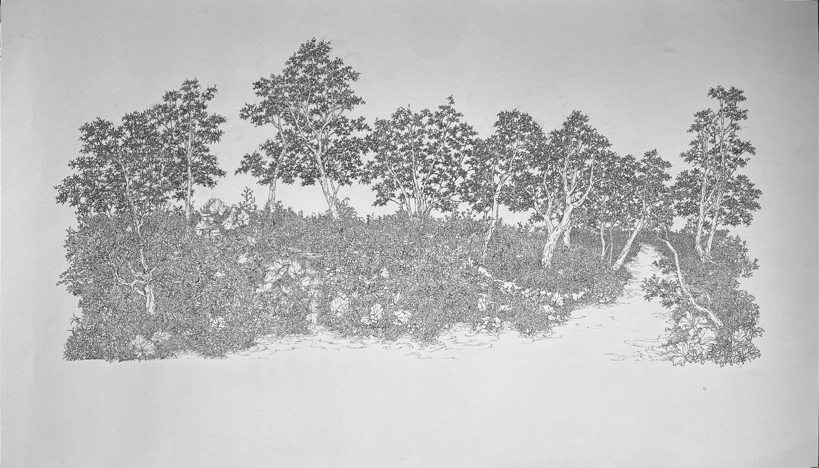 Lauren Dodds, Walk past the bridge Edmund, 2022