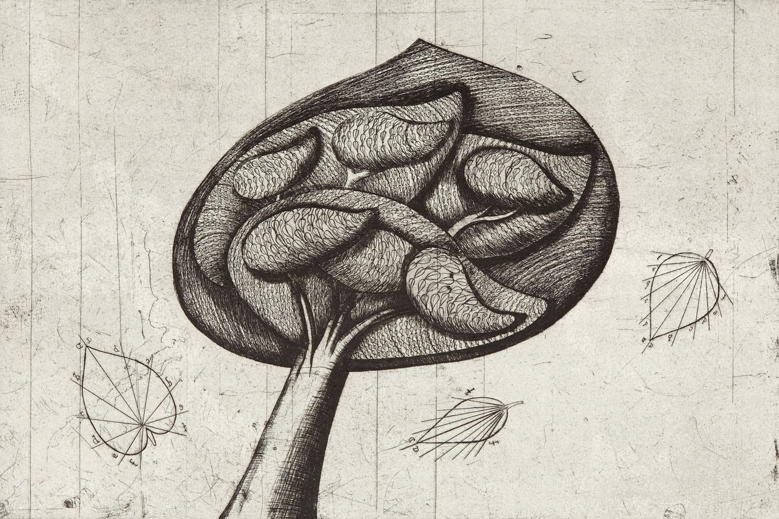 Marion Smith RSA, United Leaves, 2013