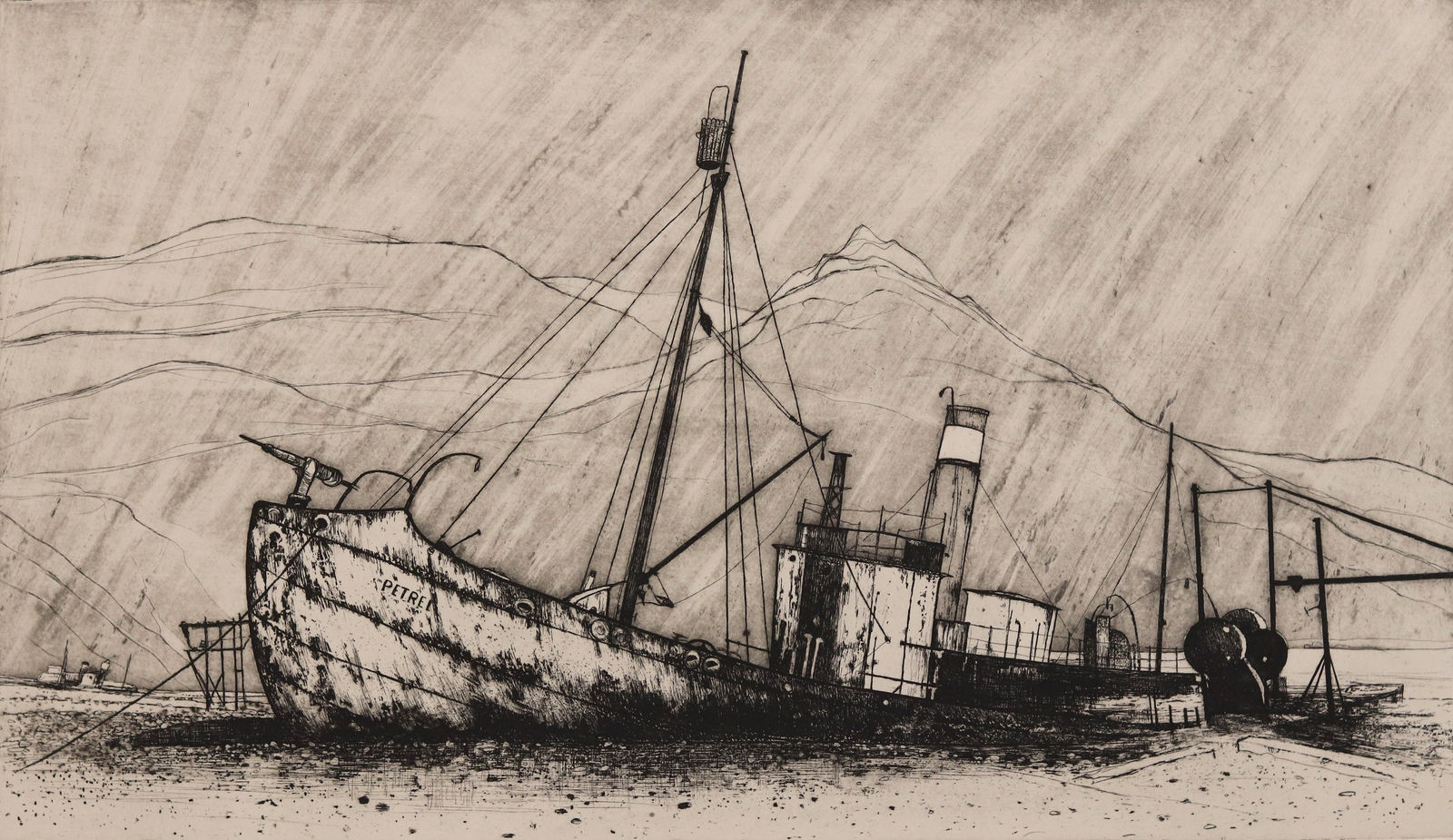 Frances Walker RSA, Petrel, South Georgia, 2010