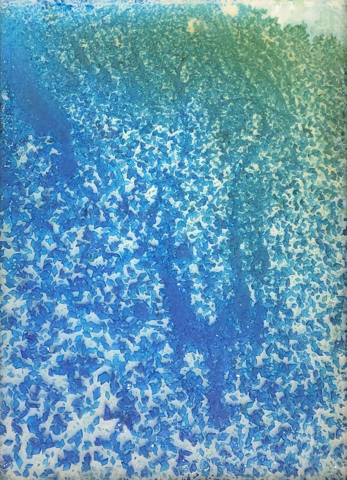 Glen Onwin RSA, Thinking like the Earth - the mind of nature II