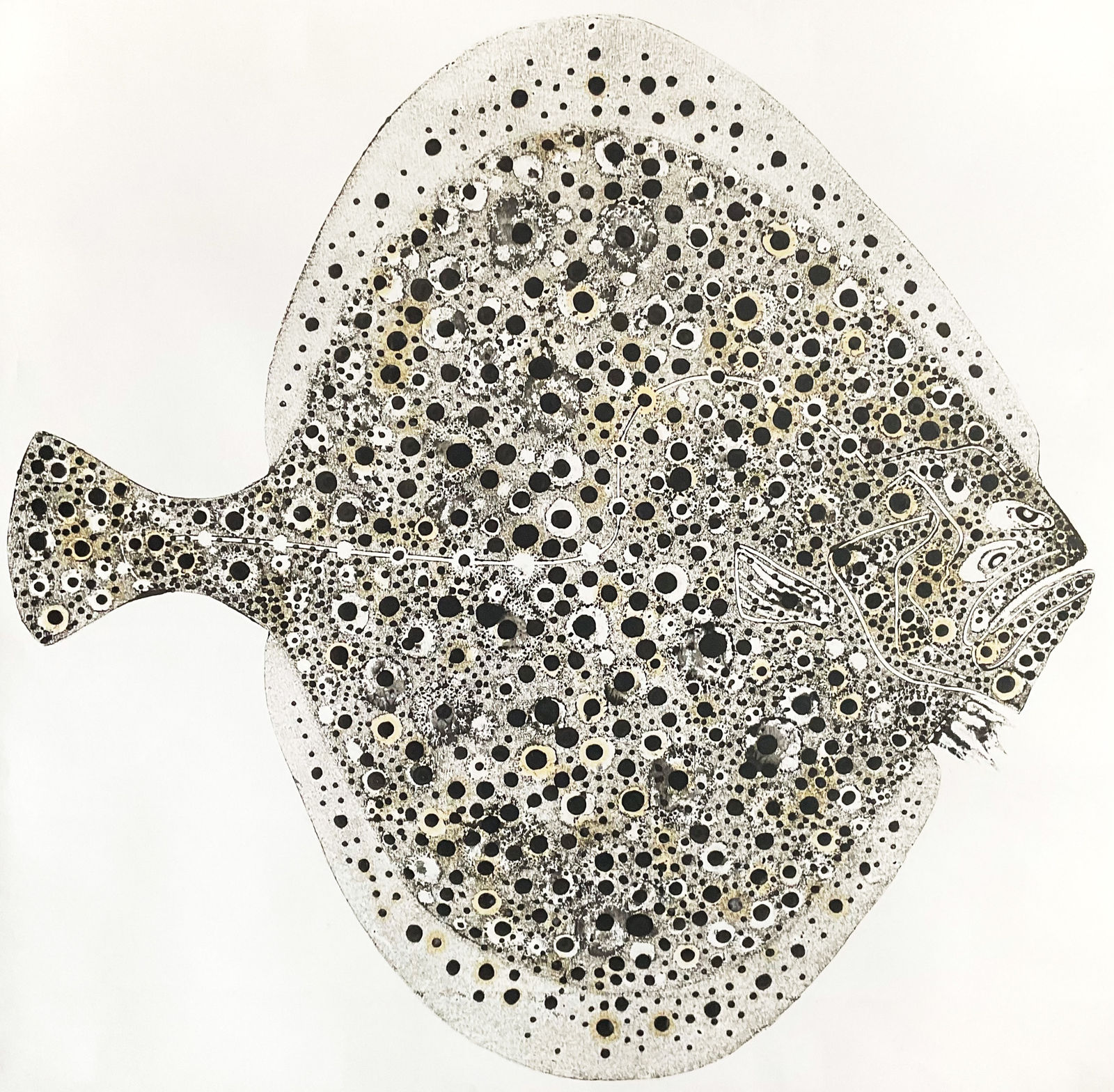 Stuart Mackenzie RSA, Turbot 2 (Species Morphology)