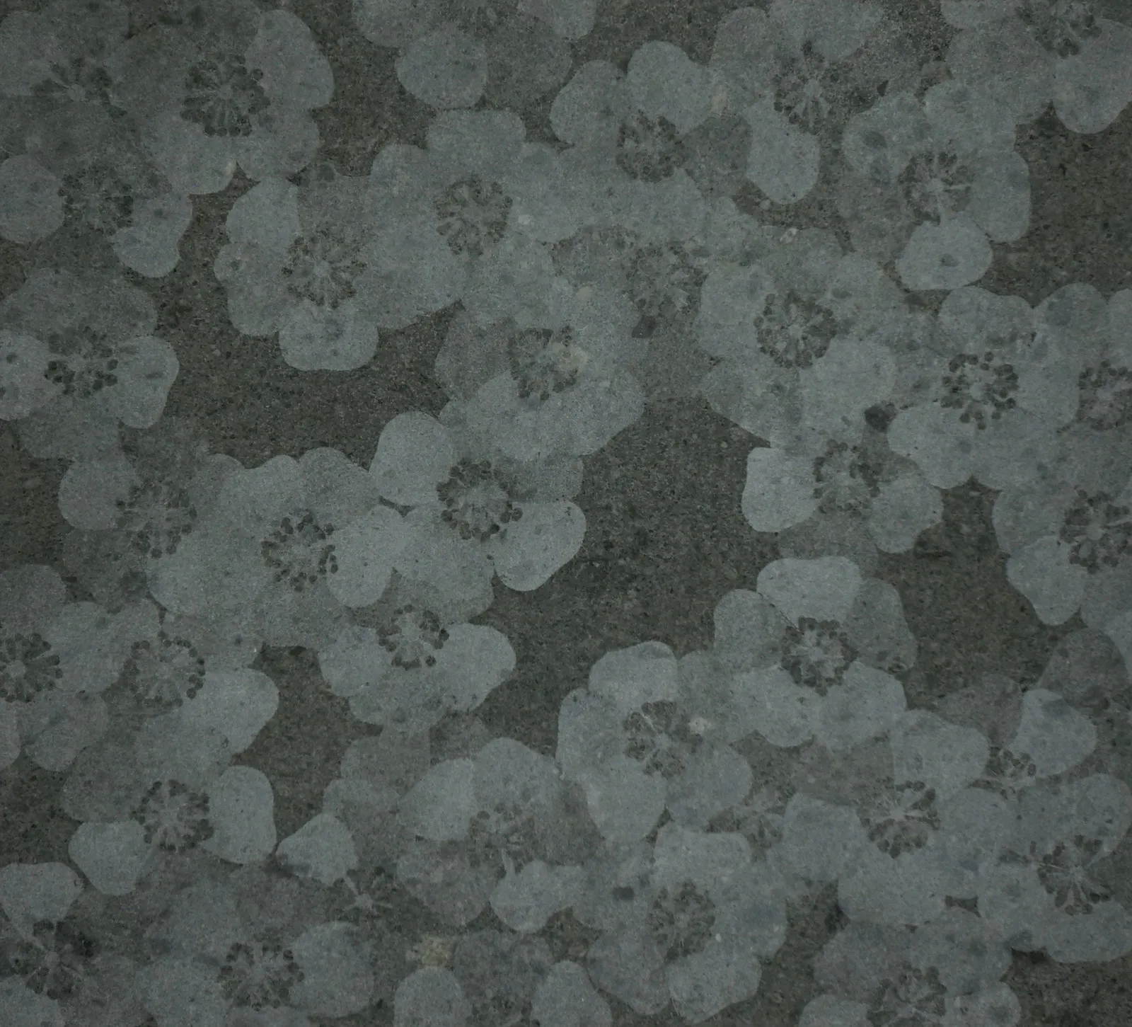 Mary Bourne RSA, Roses I, 2018