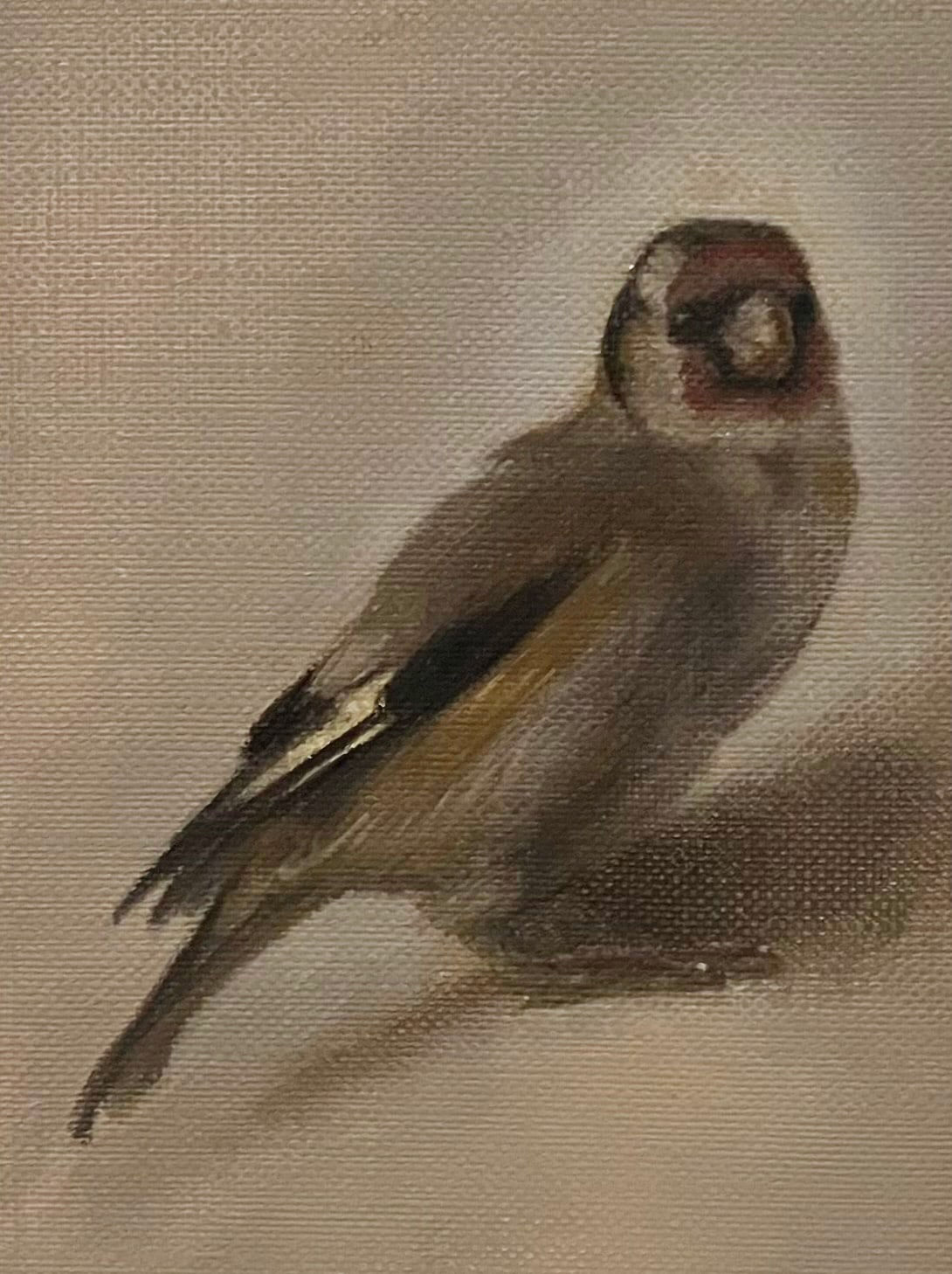 Derrick Guild RSA, Mimic after Fabritius