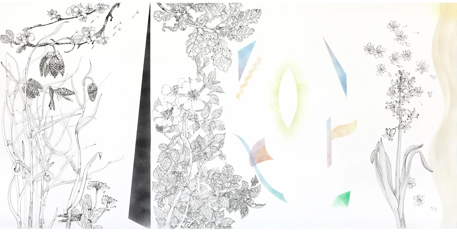 Jane Hyslop RSA, The Oak Tree: a tribute to eternity 1586 -1928, 2023