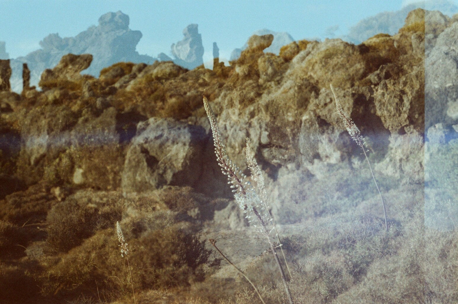 Rachel Nolan, Silica, 2021