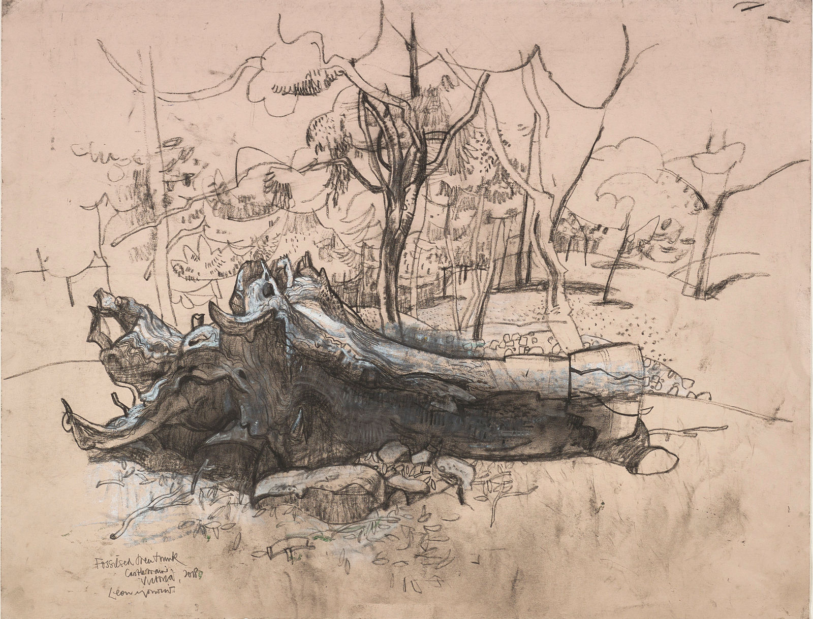 Leon Morrocco RSA, Fossilised Tree Trunk, Castlemaine Victoria, 2018