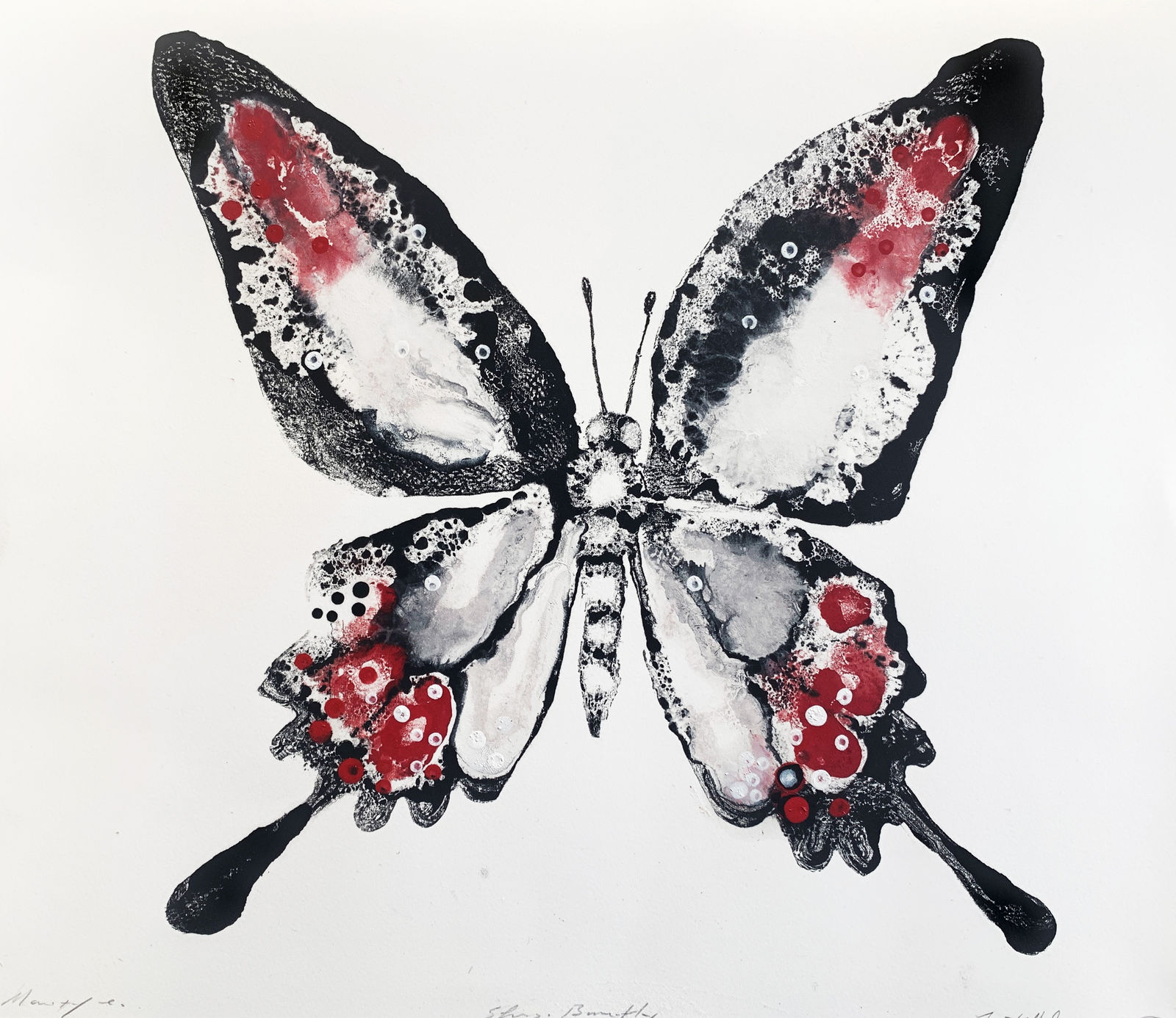 Stuart MacKenzie RSA, Species Morphology: Butterfly 2, 2021