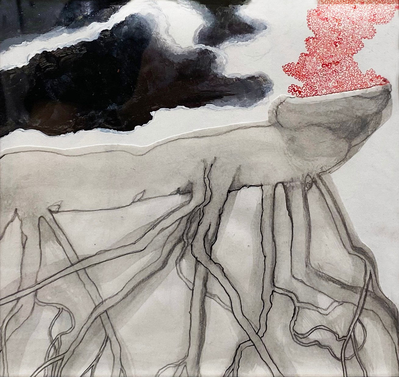 Sam Ainsley RSA, Rhizome